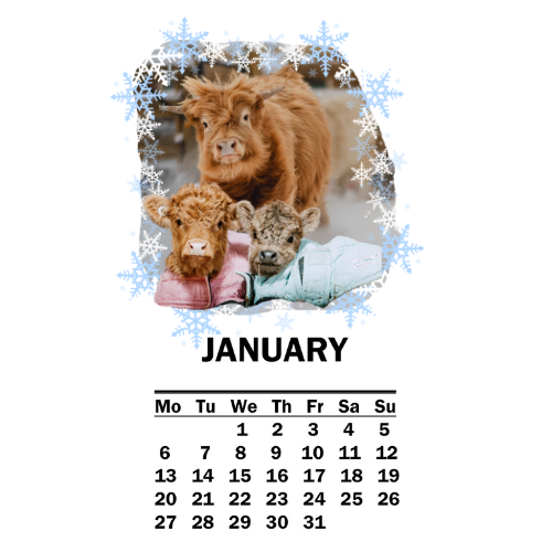 Personalized die cut desk calendar 2025